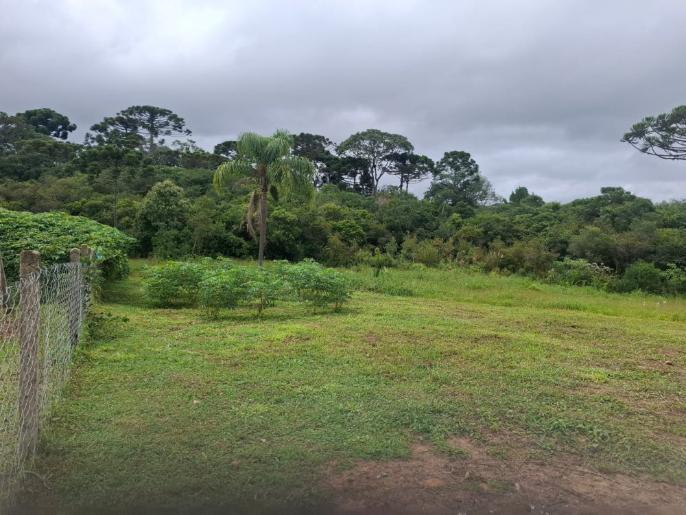 Chcara - Venda - Rural - Tijucas do Sul - PR