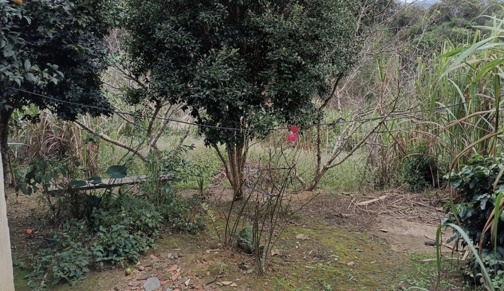 Chcara - Venda - Rural - Bocaiva do Sul - PR