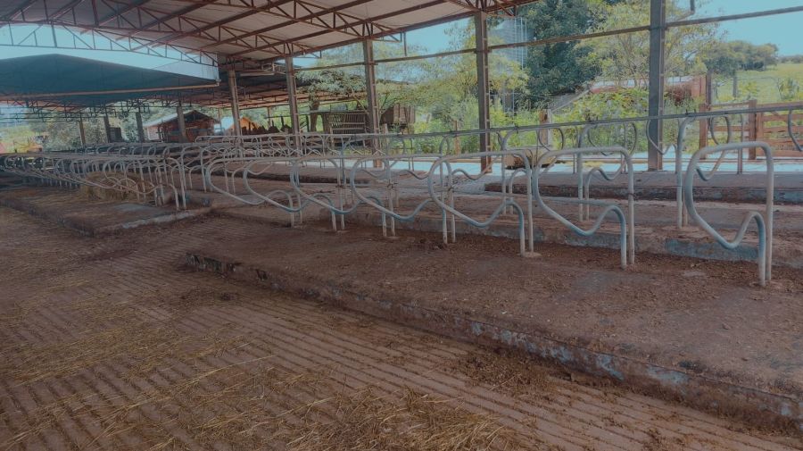 Imvel Comercial - Venda - Reserva do Iguau - Guarapuava - PR