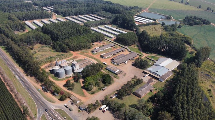 Industrial - Venda - Centro - Paulistnia - SP