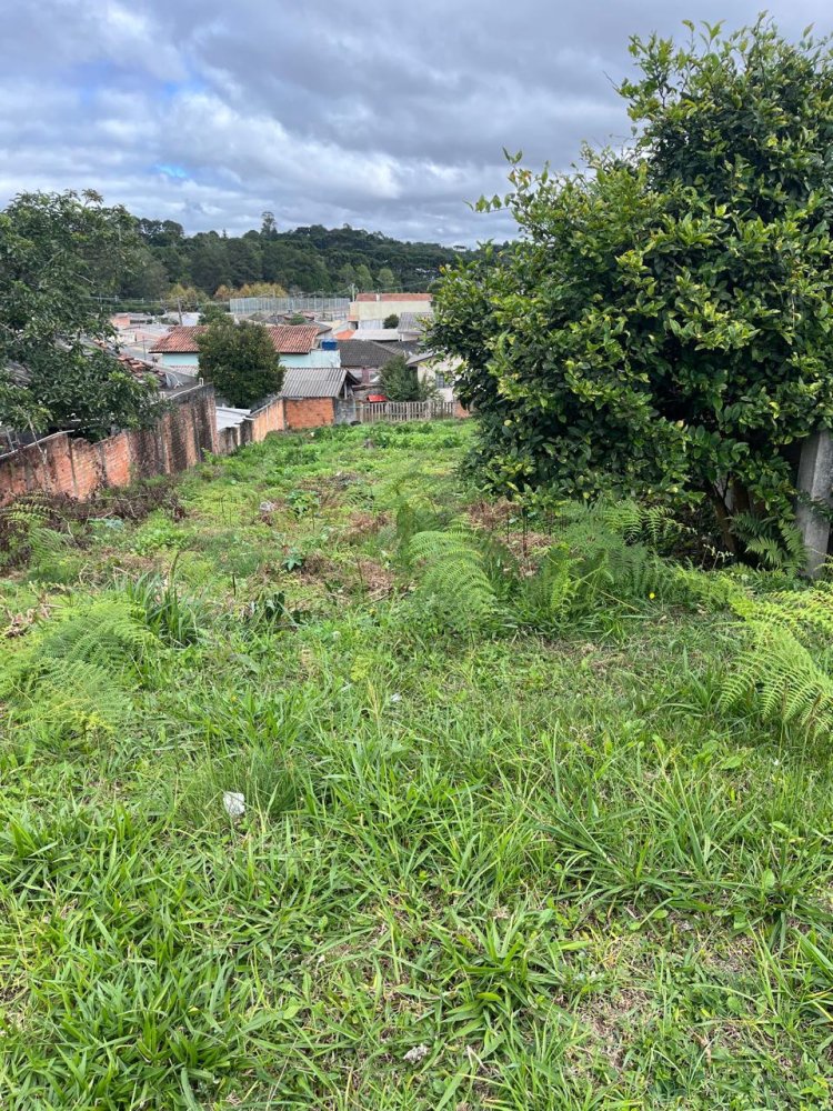 Terreno - Venda - Jd Menino Deus - Quatro Barras - PR