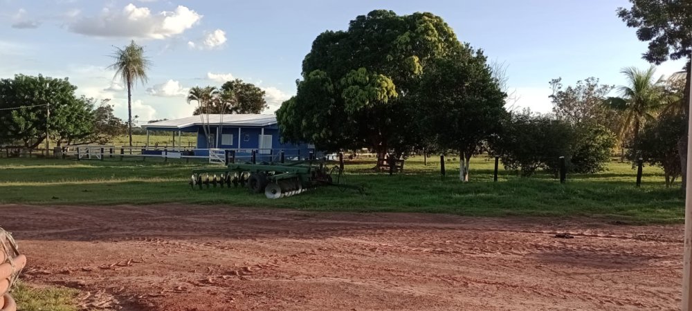Fazenda - Venda - Rural - Ribas do Rio Pardo - MS