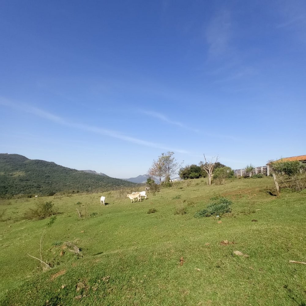 Fazenda - Venda - Rural - So Jernimo da Serra - PR