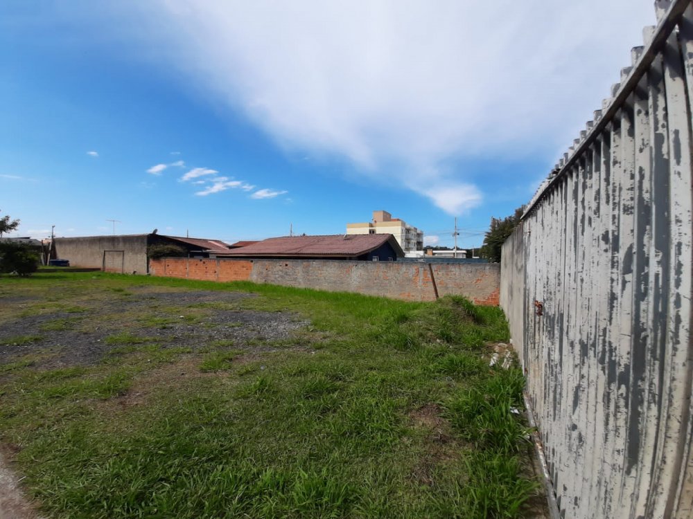 Terreno - Venda - Centro - Ponta Grossa - PR