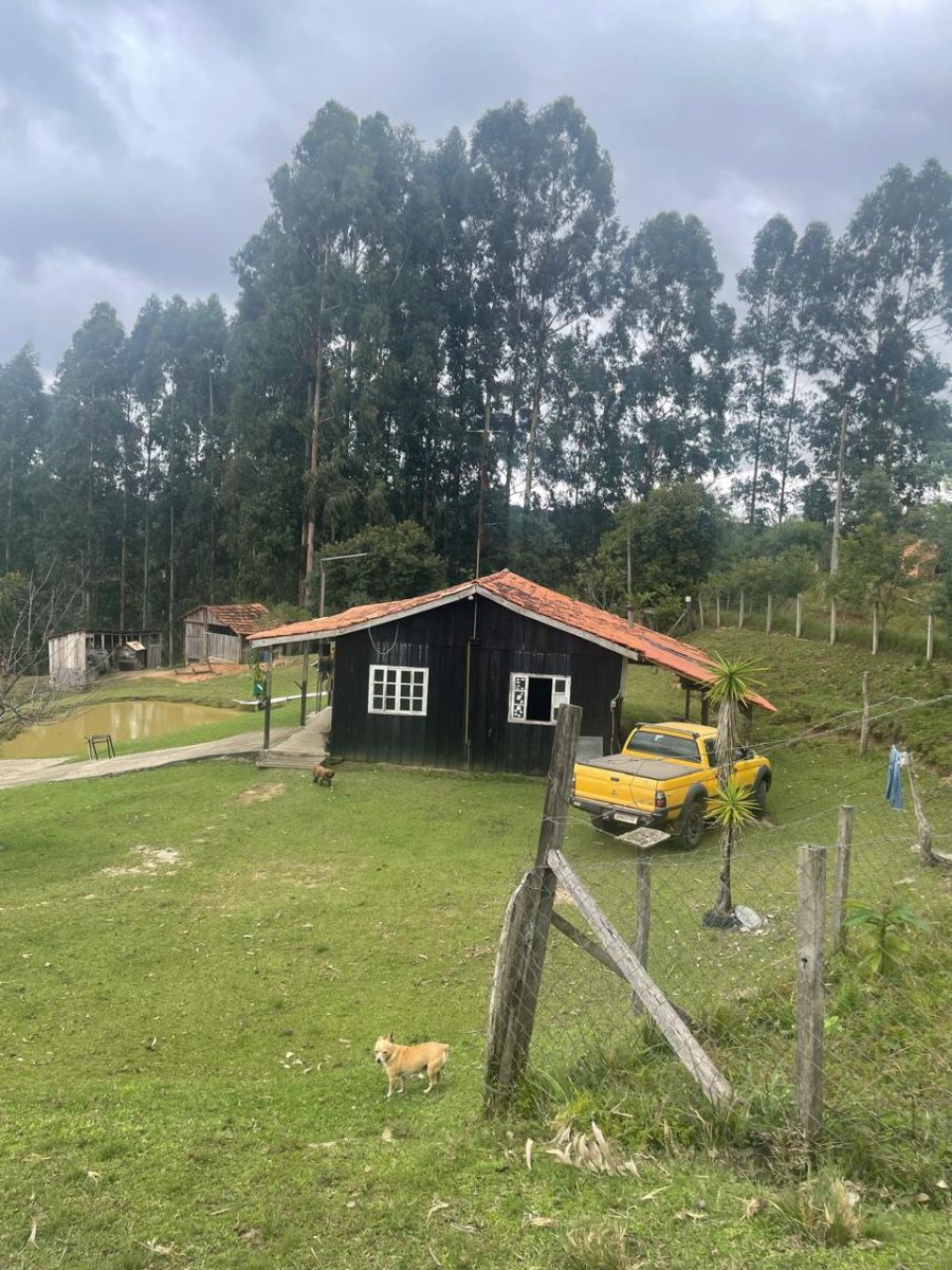 Chcara - Venda - Roseira - Campina Grande do Sul - PR