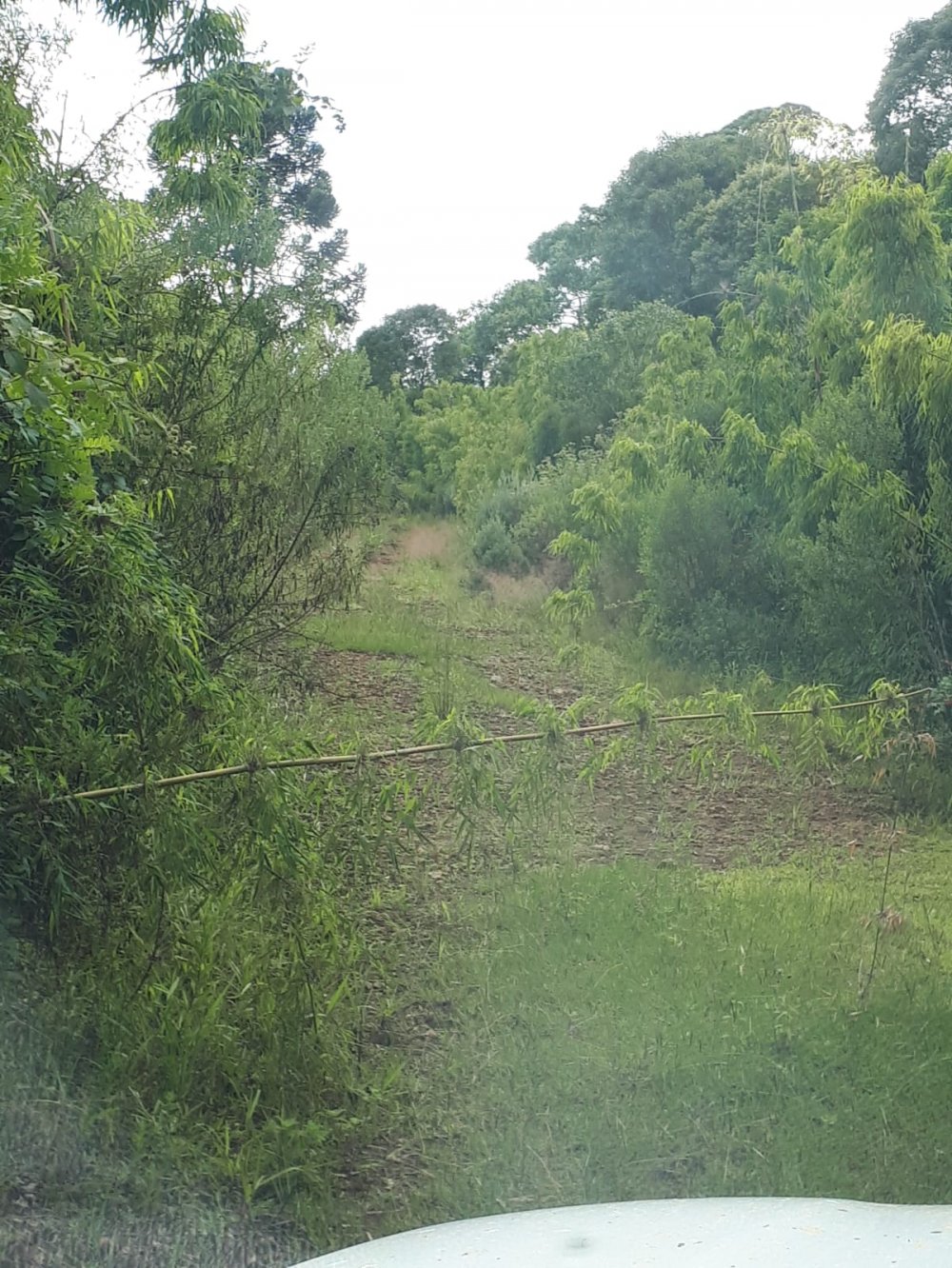Fazenda - Venda - Rural - Inácio Martins - PR