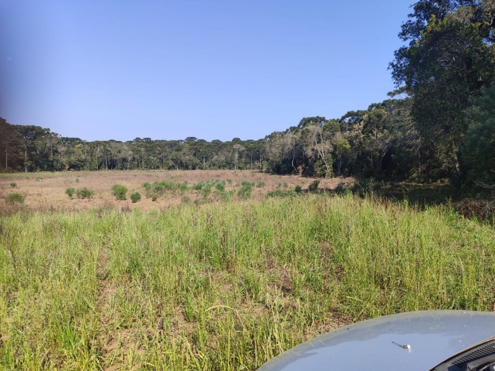 Fazenda - Venda - Rural - Prudentpolis - PR