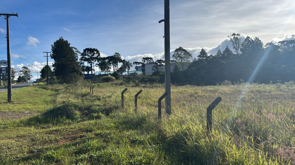 Terreno - Venda - Prado Velho - Curitiba - PR