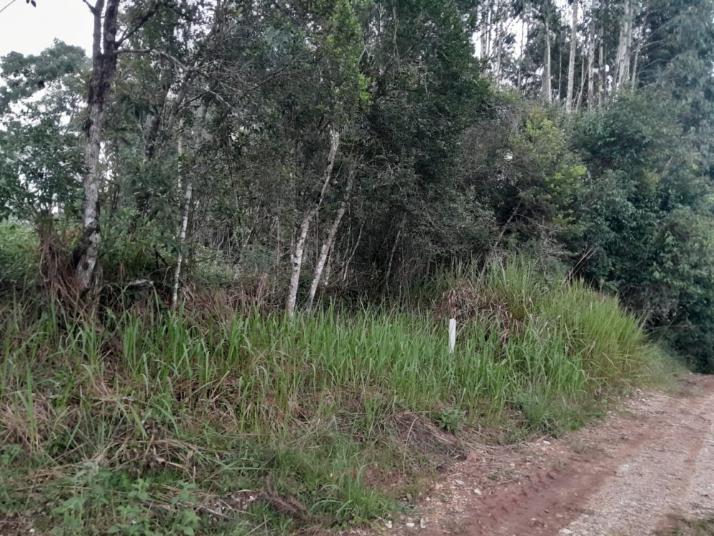 Chcara - Venda - Cacaiguera - Campina Grande do Sul - PR
