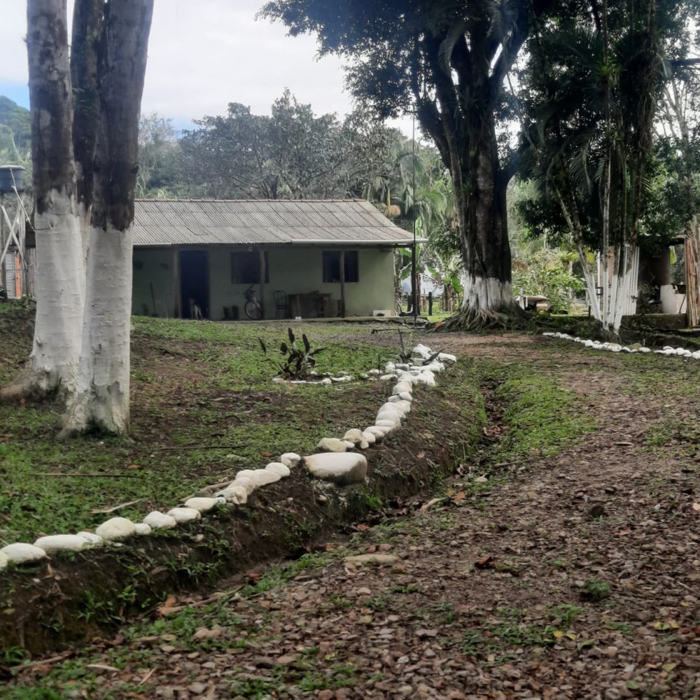 Chácara - Venda - Morrertes - Morretes - PR